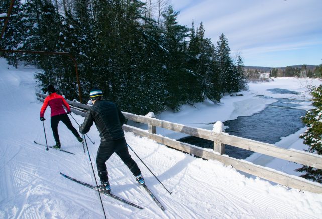 Ski de fond
