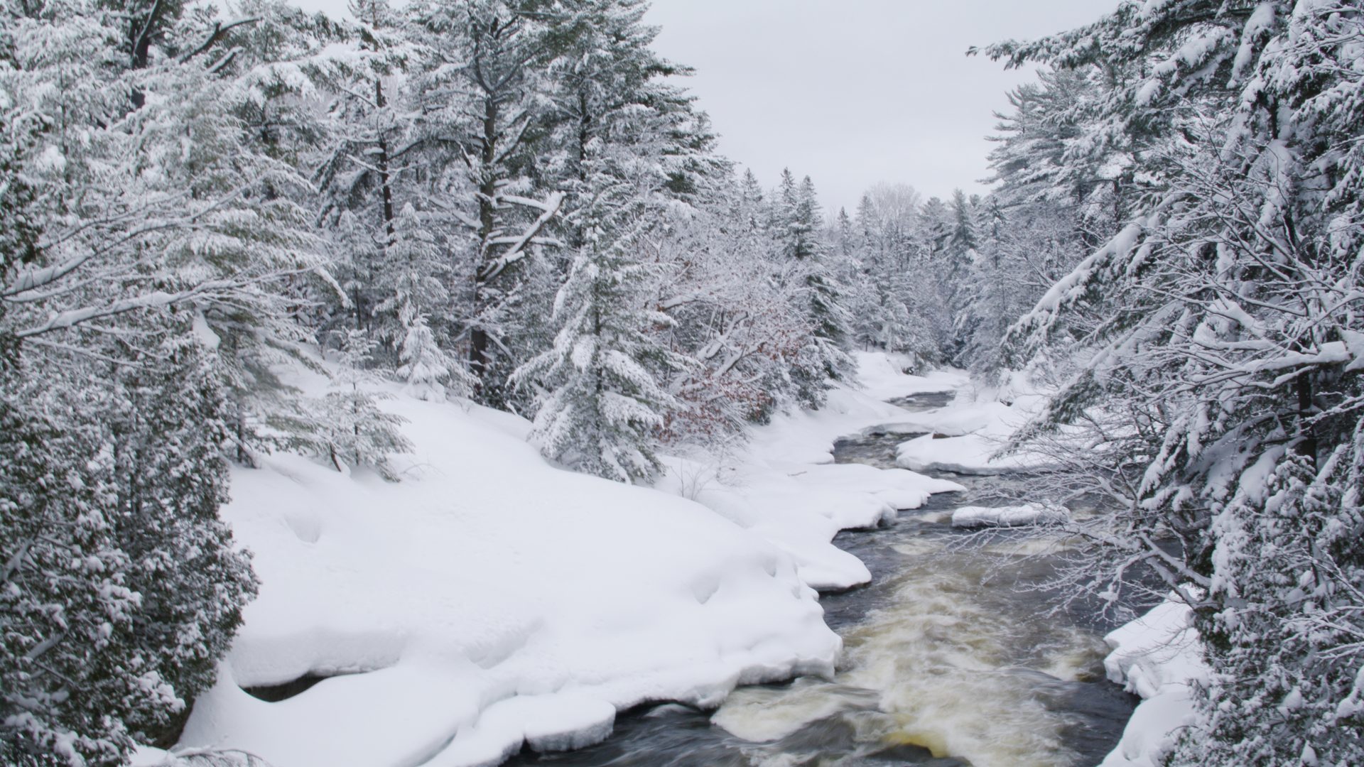 Découvrez nos cartes-cadeaux