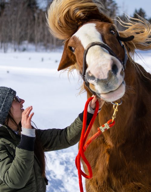 Équitation