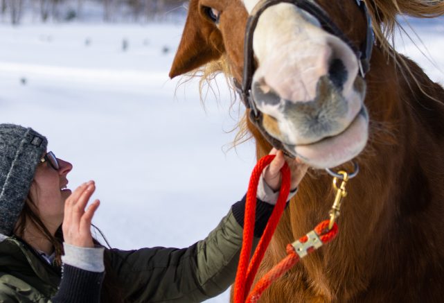 Équitation
