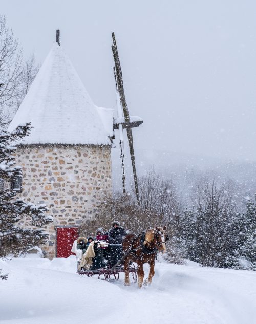 Balade en calèche privée