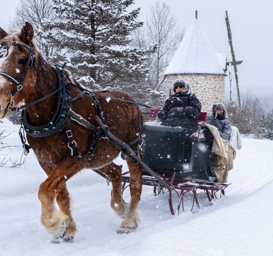 Caleche-sleigh_hiver_Le-Baluchon-08126