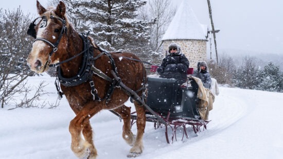 Caleche-sleigh_hiver_Le-Baluchon-08126