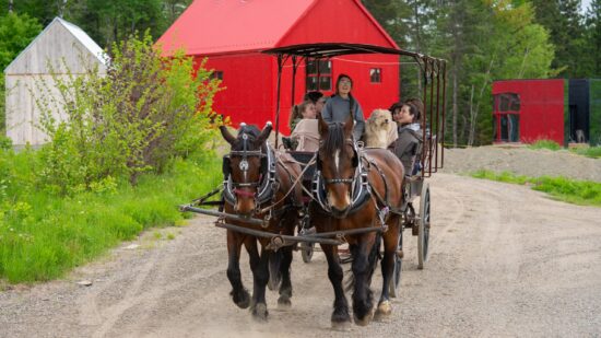 Carriole-Baluchon-09465