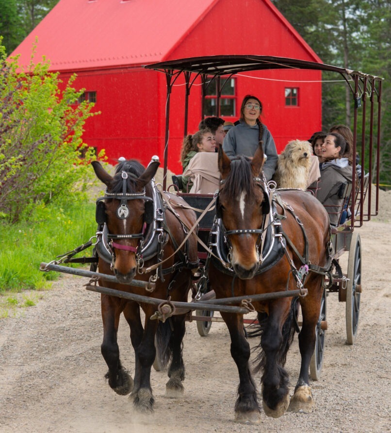 Carriage ride