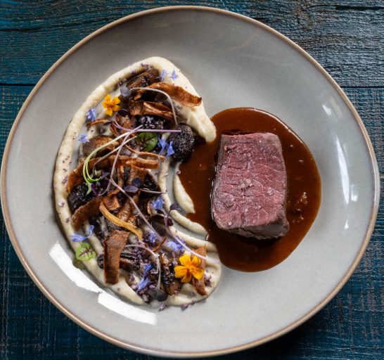 Cerf rouge du Québec, Le Baluchon Éco-villégiature1