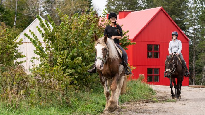 Equitation Le Baluchon
