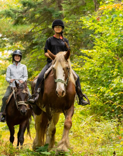 Horseback riding