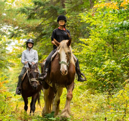 Equitation_Le-Baluchon-06006