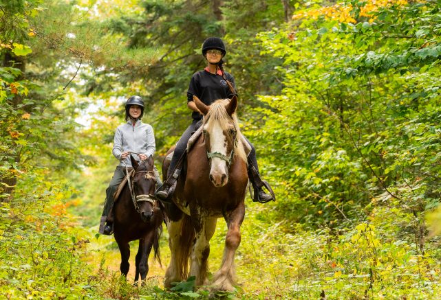 Équitation