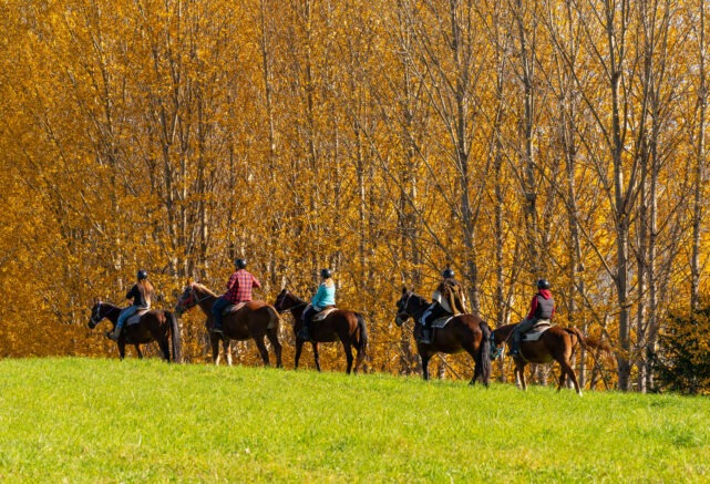 Équitation