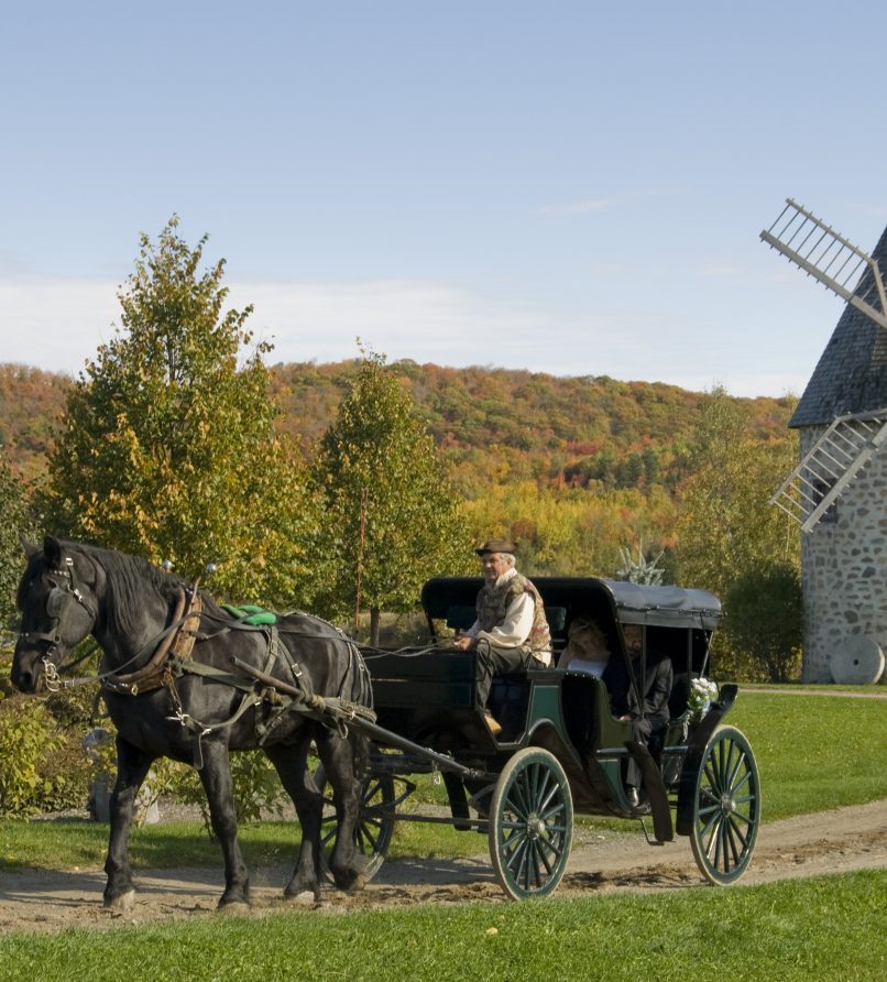 Private carriage ride