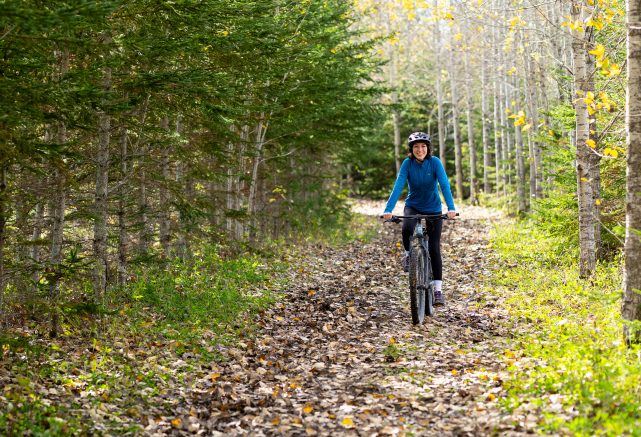 Vélo de montagne