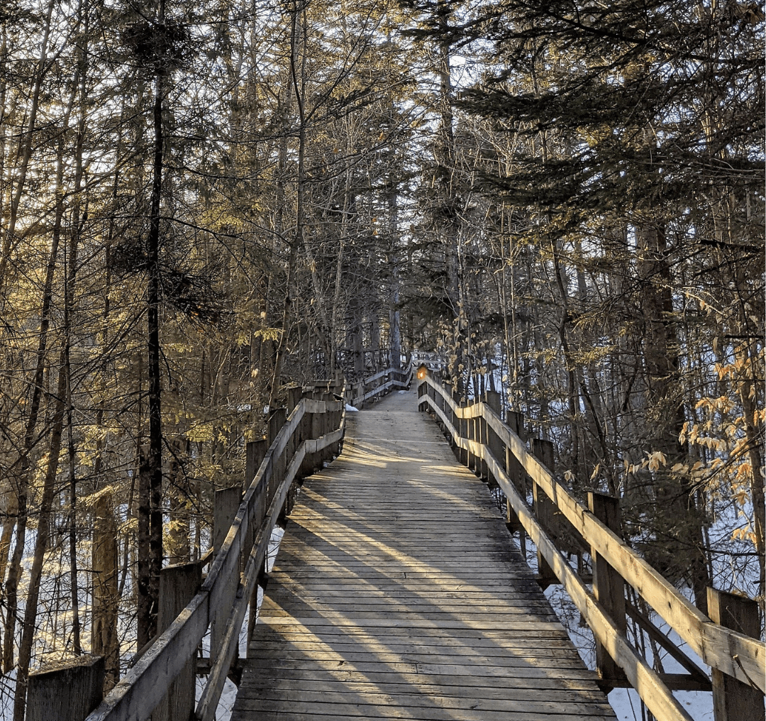 Photos carrées (1080 x 1080 px) (3)