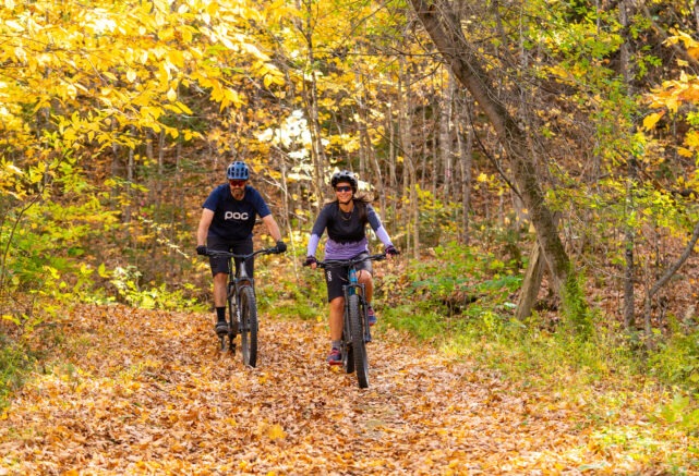 Vélo de montagne