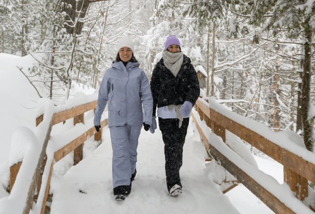 Balade immersive sur le trottoir de bois