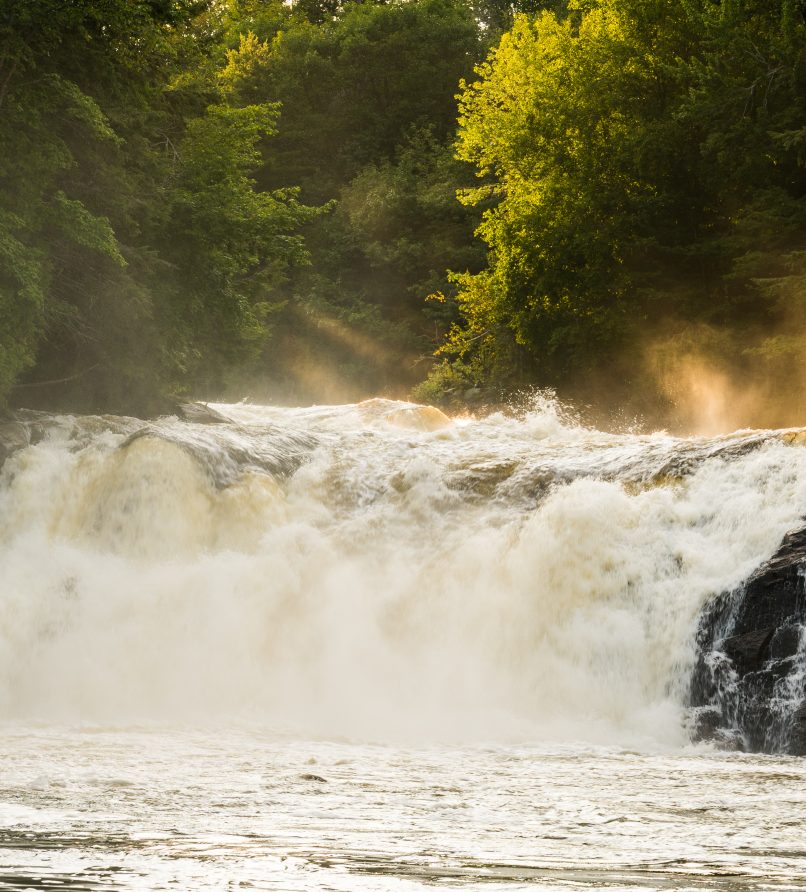 Trail conditions - Summer activities