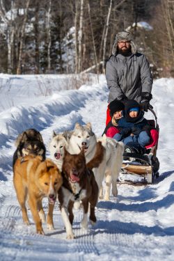 Activité hiver traineau a chiens Le Baluchon, St-Paulin, Mauricie