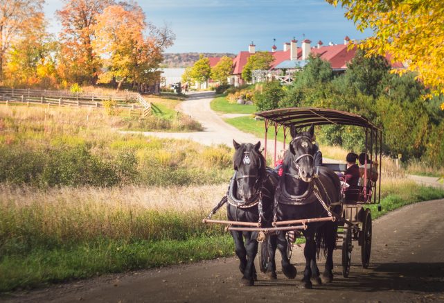 6 person private carriage ride