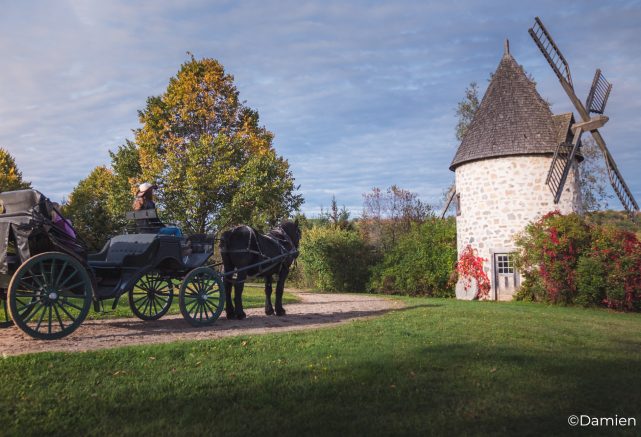 Private carriage ride