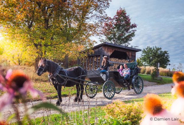 Private carriage ride