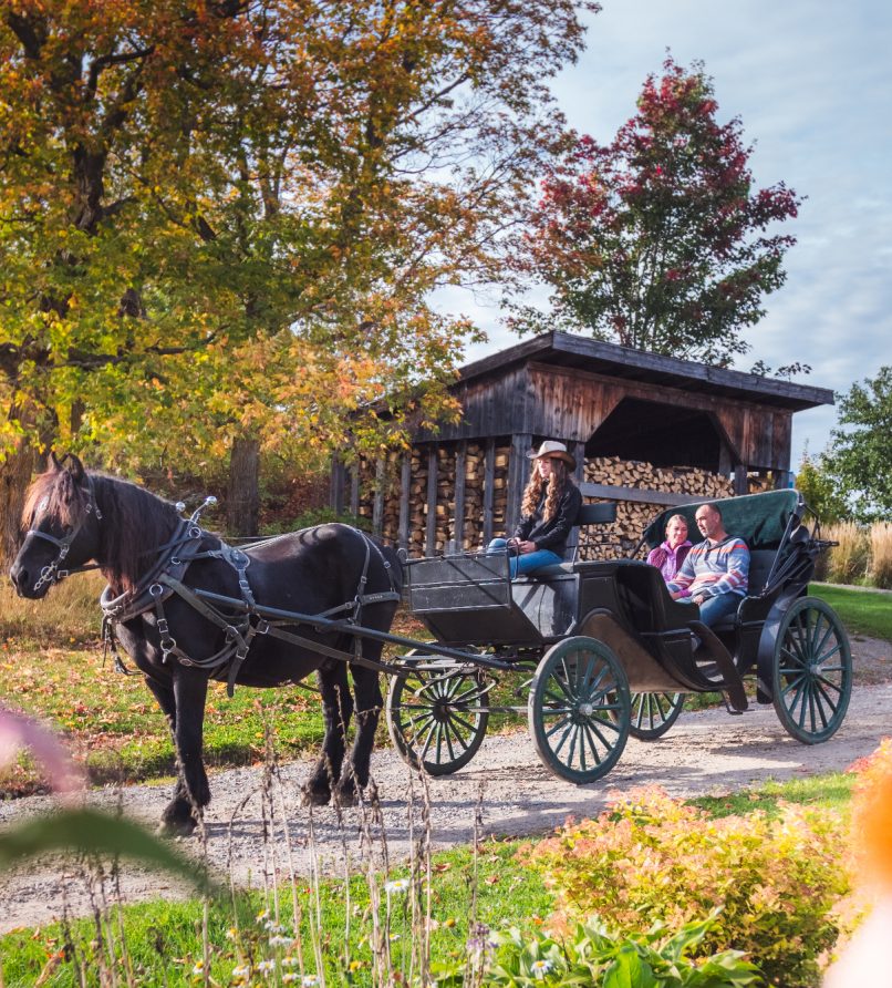 Private carriage ride