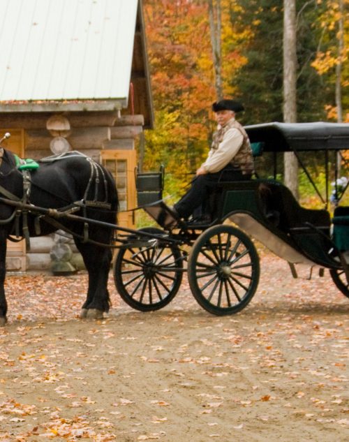 Private carriage ride