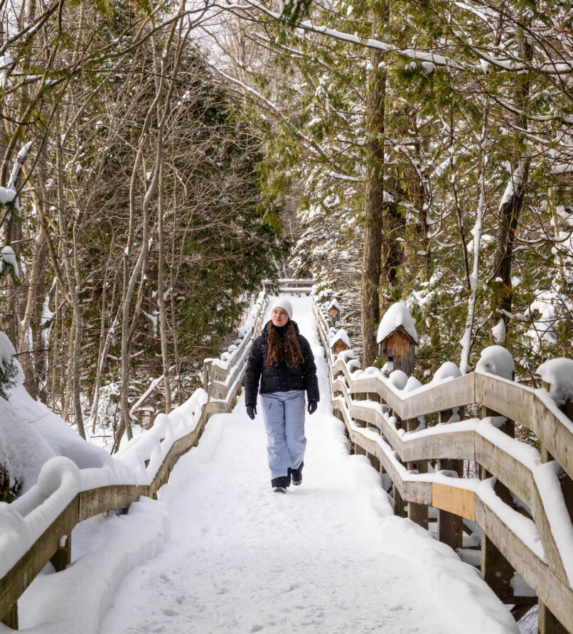 Randonnée pédestre