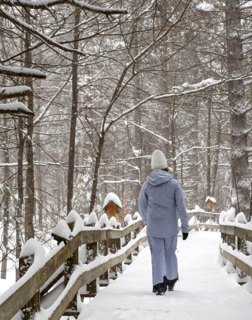 Randonnée pédestre