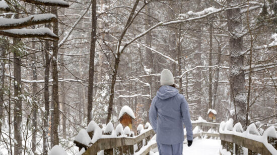 Randonnee_Le-Baluchon-06774 carre