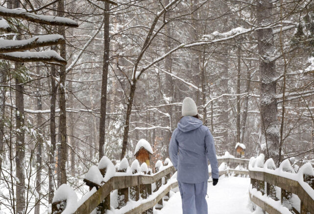 Randonnée pédestre