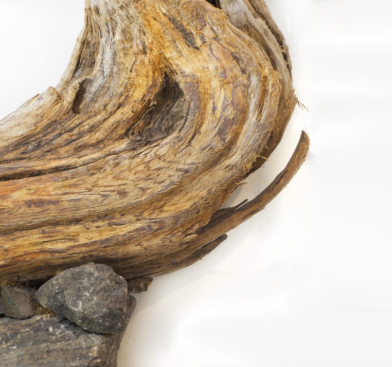 sculpure_ecorce_pierre1_ajuste