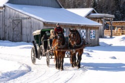 Caleche Ferme ecurie Le Baluchon