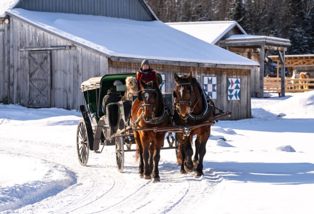 Private sleigh ride