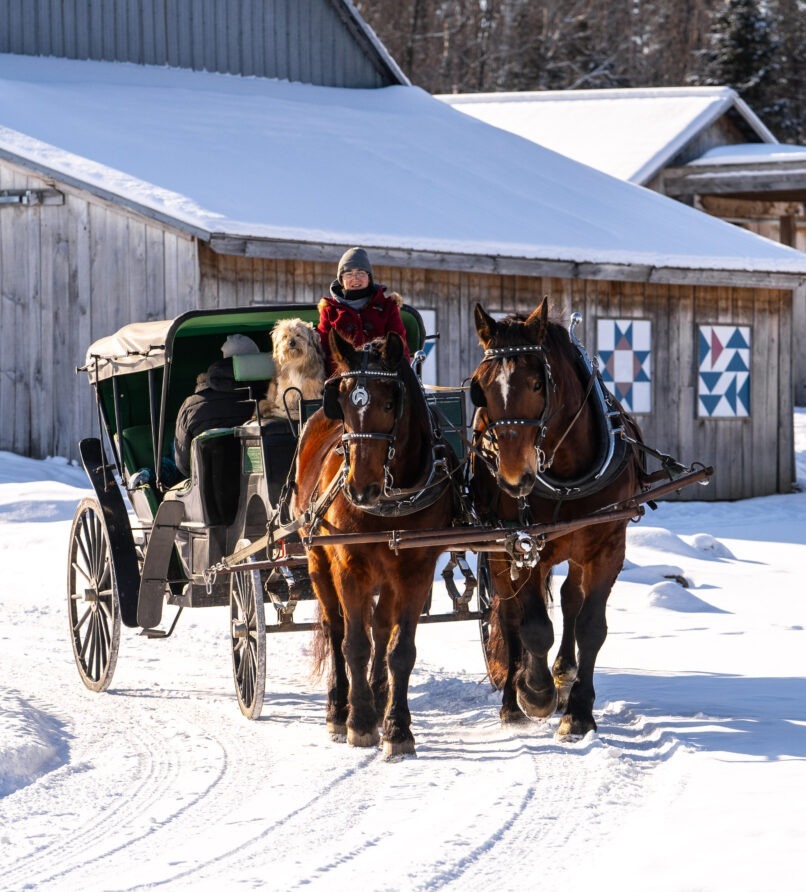 Balade en calèche privée