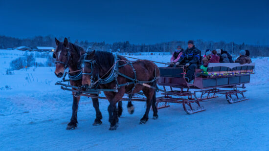 Carriole-de-nuit_Le-Baluchon-01180