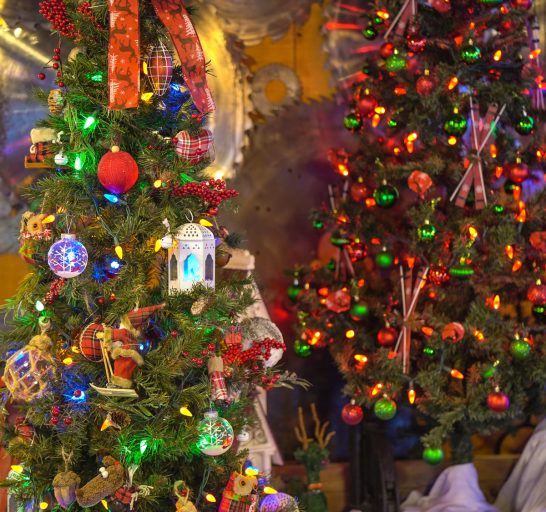La Féerie de Noël