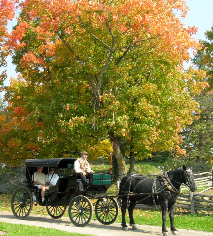 Private carriage ride