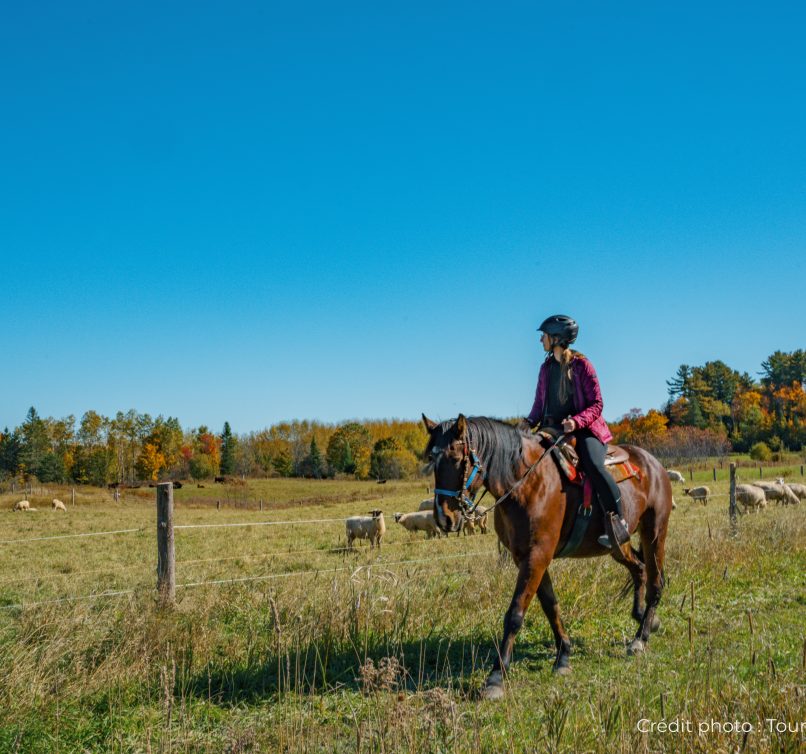 AVEC CREDIT TM_JGAB_Automne_Baluchon_2022_credit photo_Tourisme Mauricie-11