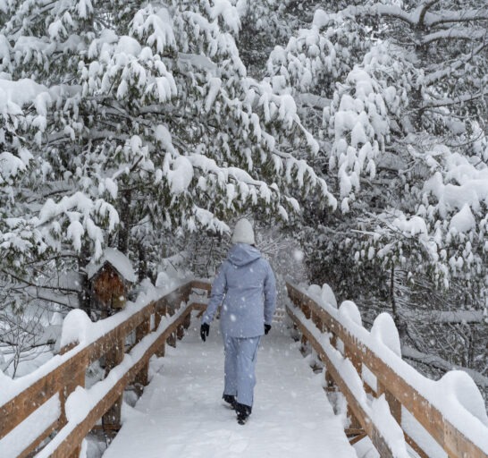 Randonnée hiver Le Baluchon