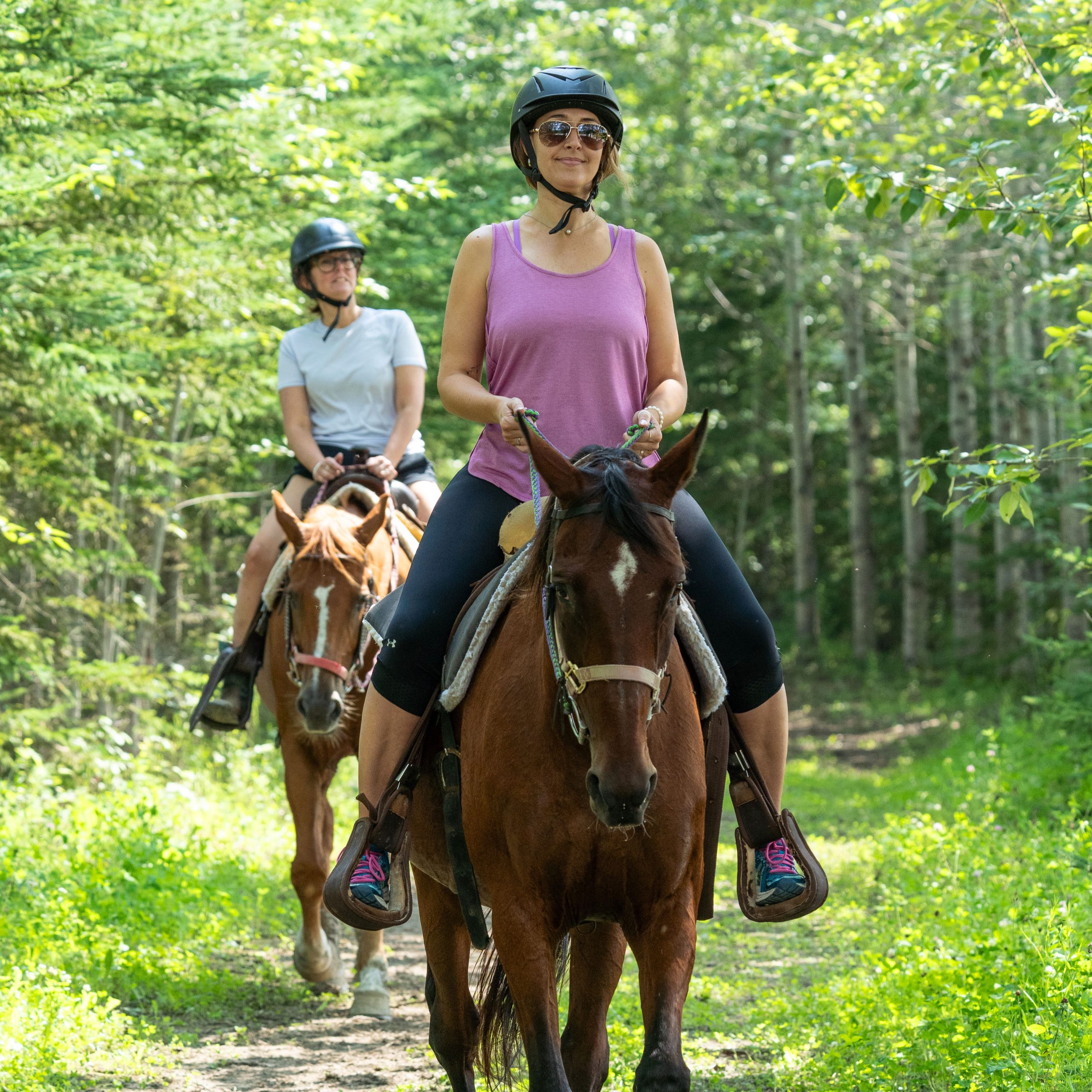 Équitation