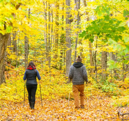 Le-Baluchon_automne-00062