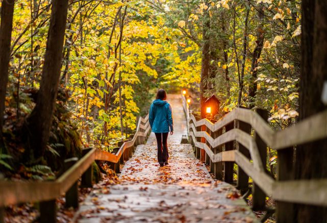Balade immersive sur le trottoir de bois
