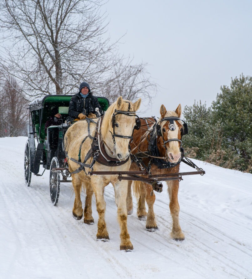 Private sleigh ride