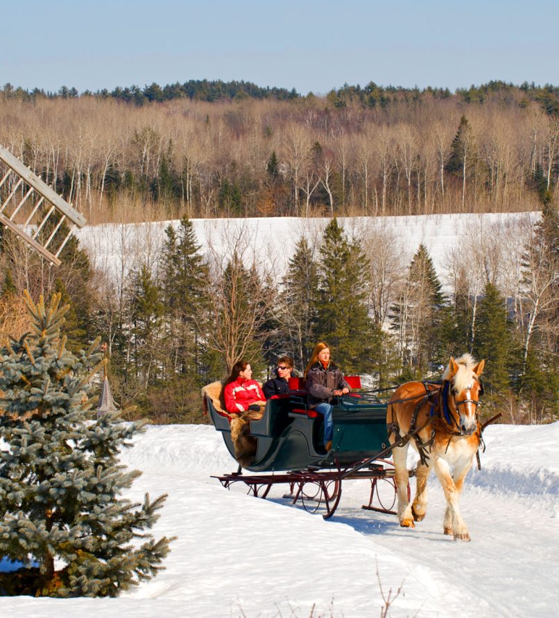 Private sleigh ride