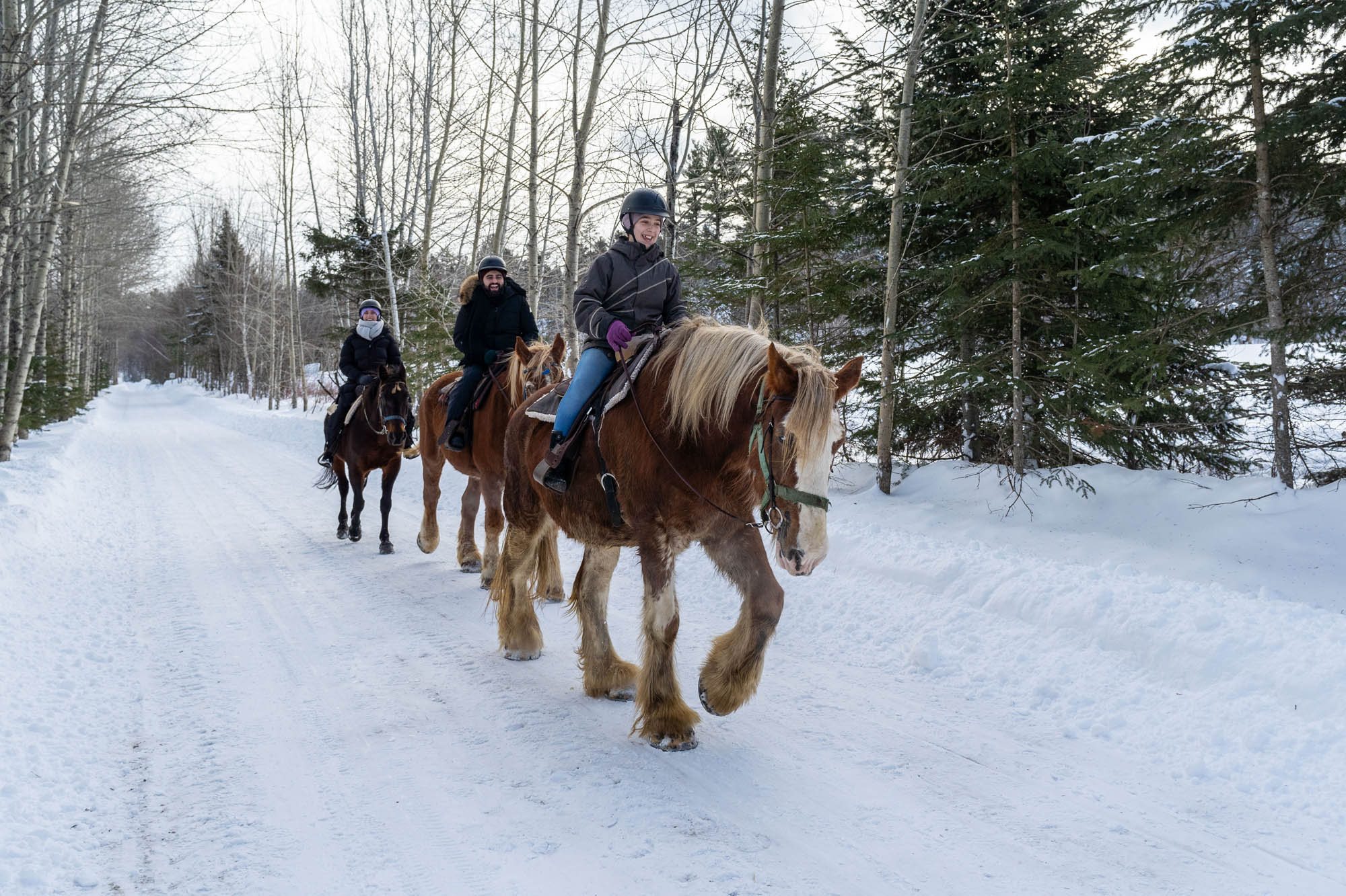 6 excellentes raisons de visiter Le Baluchon en hiver ! - Le Baluchon ...