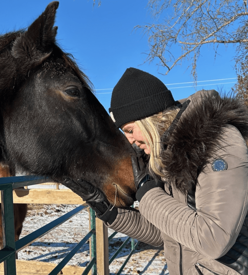 Equine renewal