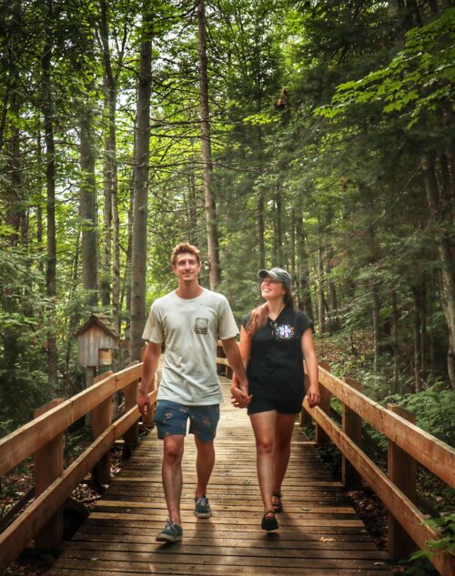 Balade immersive sur le trottoir de bois