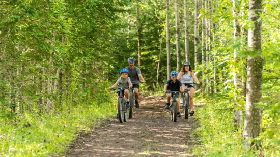 Velo-Le-Baluchon-08029