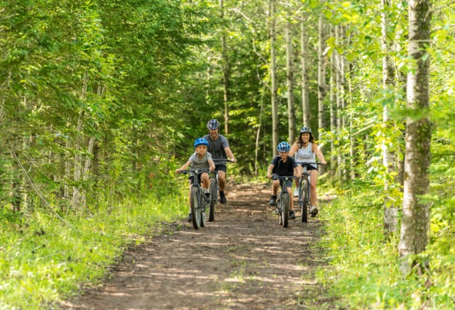 Vélo de randonnée